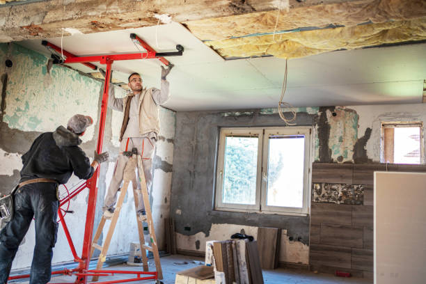Best Insulation Removal  in Marble Hill, MO